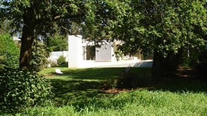 A modern building with a white exterior, surrounded by lush greenery and a well-maintained lawn.