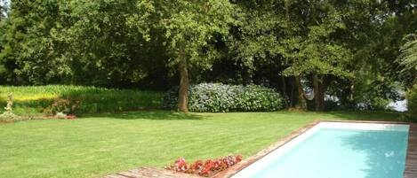 A rectangular swimming pool with a wooden deck in the foreground and a lush green lawn.