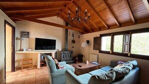 A cozy living room with a wooden ceiling, a television, a fireplace, and a sofa.