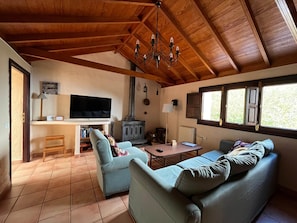 TV, fireplace, DVD player
