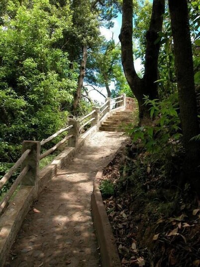 Quiet House at Garajonay Nat. Park