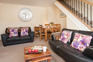 Télévision, lecteur de DVD, livres