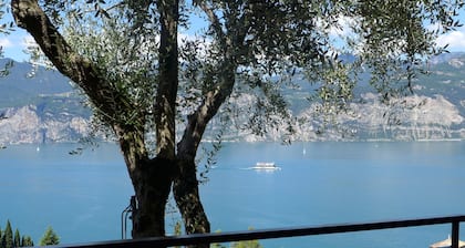 wonderful lake view, wifi, swimming pool, garage