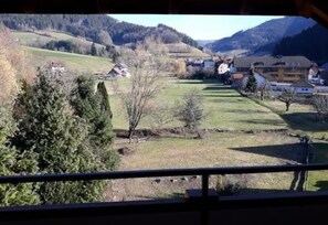 Terrace/patio - Hotel Tannenhof (Simonswald)