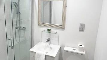 A modern bathroom with a glass shower enclosure, a white sink with a mirror above, and a toilet.