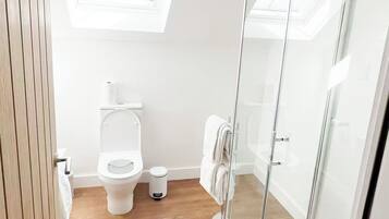 Deluxe Apartment, 1 King Bed with Sofa bed | Bathroom | Shower, rainfall showerhead, free toiletries, hair dryer