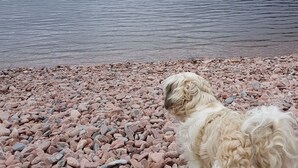 Unclassified image, 5 of 21, button - Airanloch Bed & Breakfast (Inverness)
