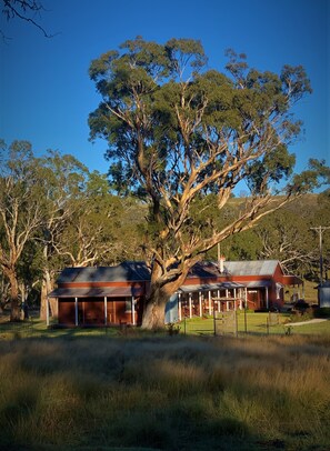 Exterior - Fabulous Country Stay on cattle & sheep property northern NSW (Matheson)