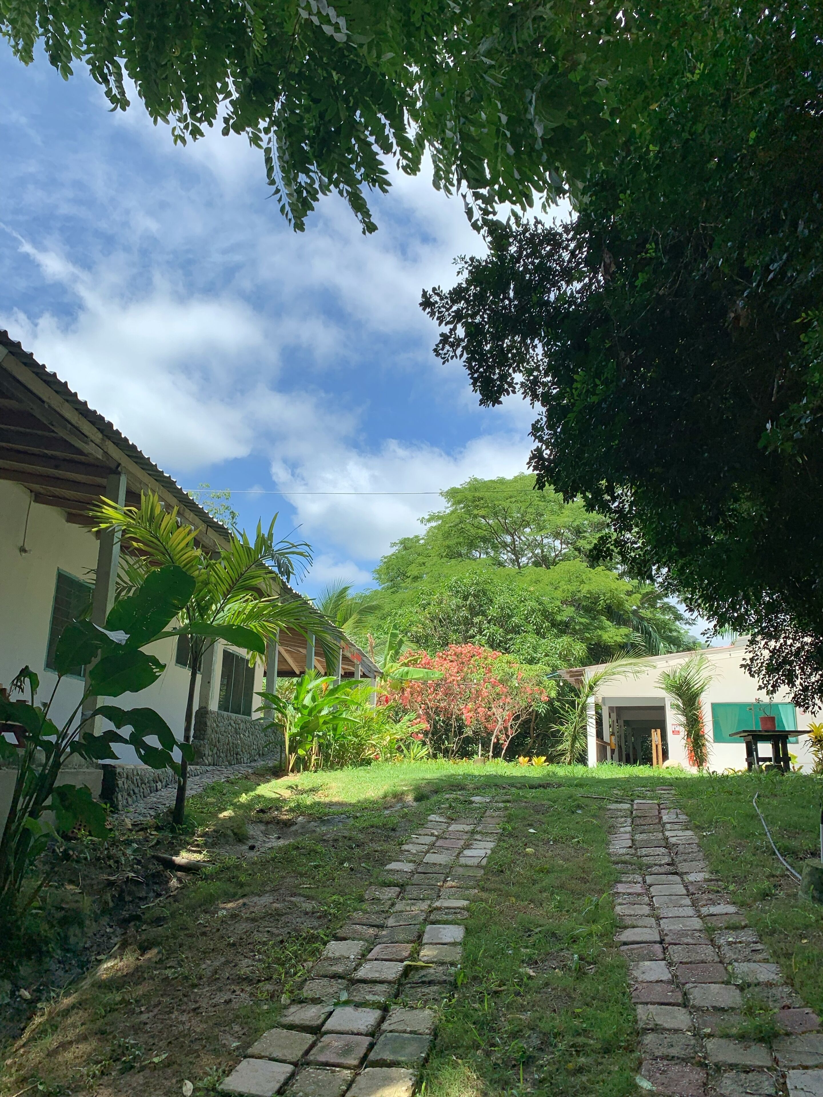 A paved pathway leading to a building with a stone wall and a green awning.