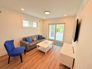 Smart TV, chimenea, reproductor de DVD y libros 