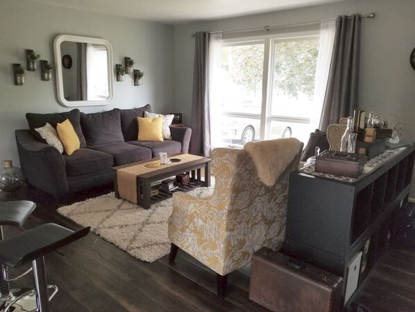 TV, fireplace, DVD player