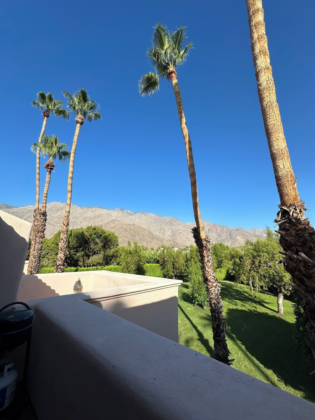 Imagen de perfil del propietario o de la propietaria