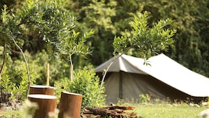 A tent in a grassy area with trees and wooden stumps.