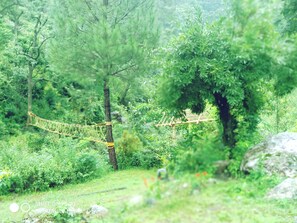 Parcours aventure (team building)