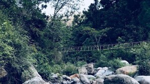 A natural landscape with a bridge over a rocky riverbed, surrounded by dense foliage.