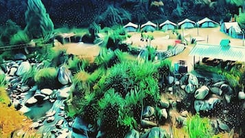 住宿场地