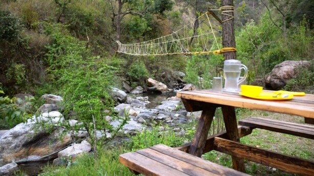 A wooden picnic table with a metal cup and a yellow tray, set against a backdrop of a rope bridge over a rocky stream in a forested area.