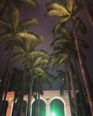Vista nocturna de altas palmeras y un edificio con ventanas arqueadas.