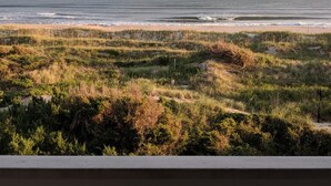 Eine Küstenlandschaft mit Strand und grasbewachsenen Dünen.