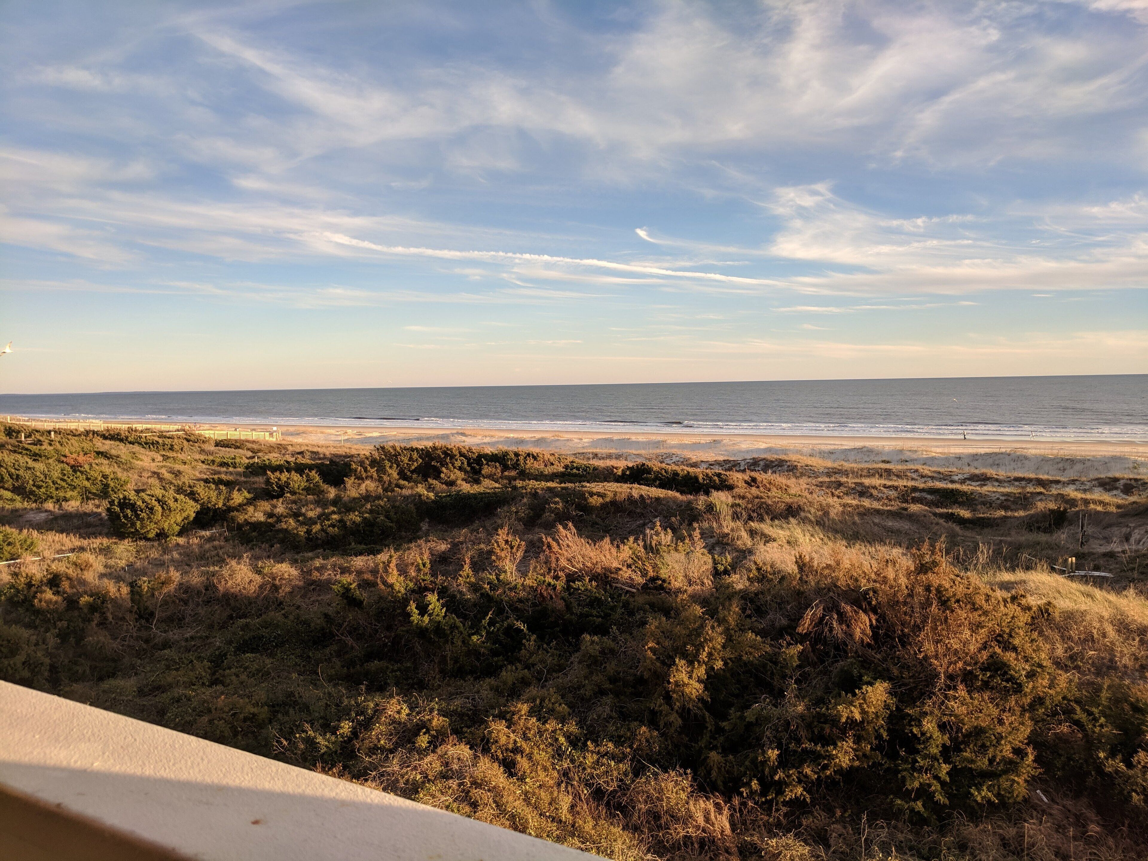 A coastal landscape with a beach, dunes, and a clear sky.