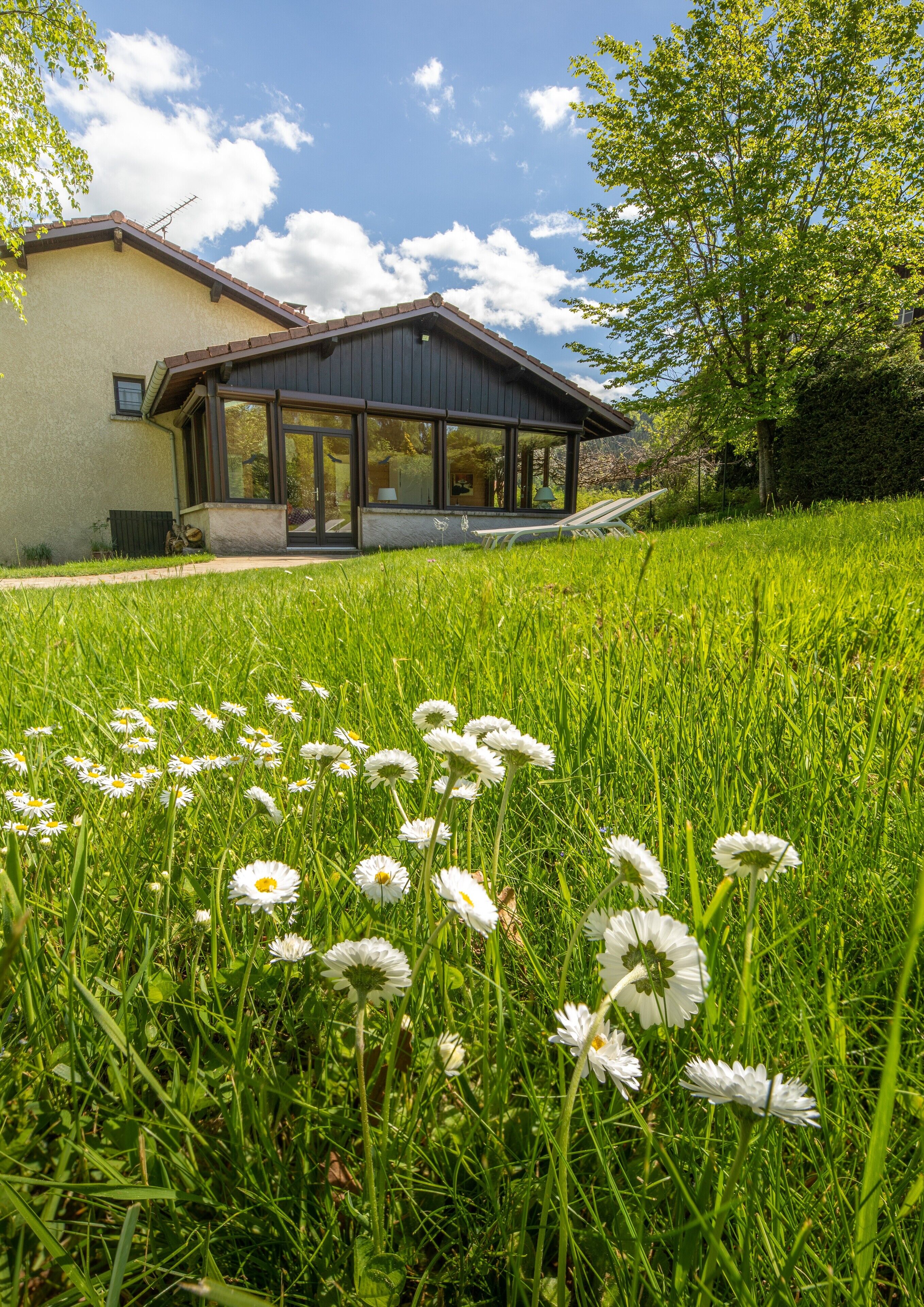 A house with a modern design, a large glass window, and a grassy lawn with white flowers.