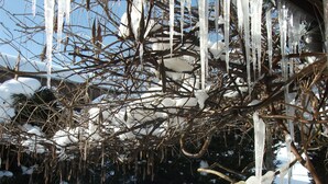 Un espacio exterior cubierto de nieve con una mesa y sillas de metal, un farol y estalactitas colgando de un árbol.
