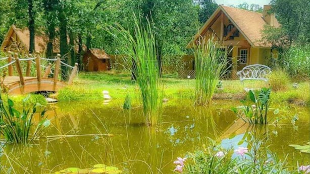 Una casa rústica amb una bassa, envoltada de vegetació exuberanta i un pont de fusta.