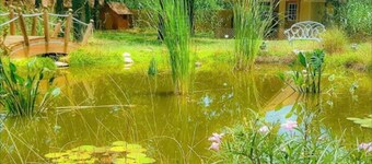 Rapunzel Cottage  (#1)   .