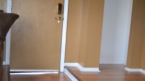 Une porte fermée, avec un plinthe blanche, un plancher en bois et un mur brun.