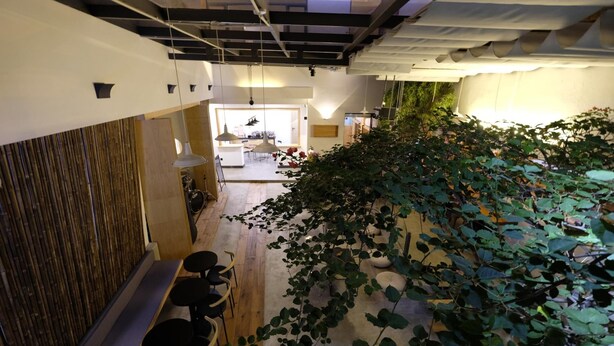 Ein modernes Interieur mit einer Holzbank, hängenden Pflanzen und Blick in einen Essbereich.