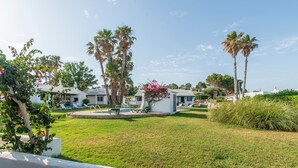 Zona residencial con casas, palmeras y césped.