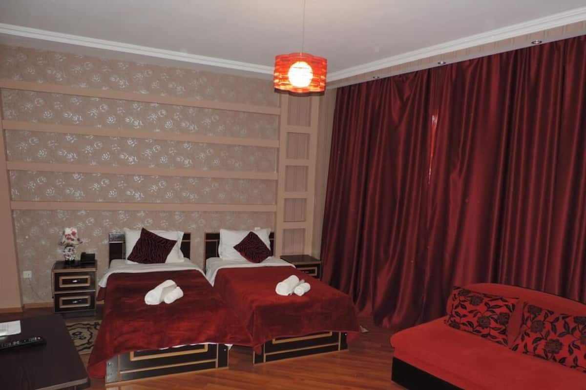 Standard Double or Twin Room, City View | Desk, blackout drapes, cribs (free), WiFi (free)