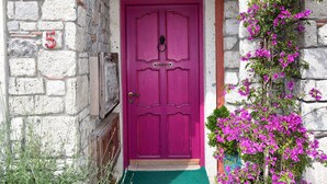 Un bâtiment avec une porte rose, un auvent bleu et un grand bac bleu contenant des fleurs violettes.
