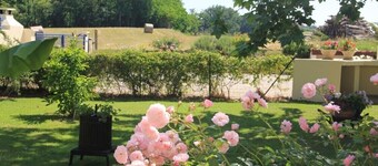 RENTAL IN THE LANDES OF 3 SINGLE-STOREY HOUSES***, NOT OVERLOOKED IN BUANES