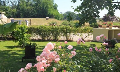RENTAL IN THE LANDES OF 3 SINGLE-STOREY HOUSES***, NOT OVERLOOKED IN BUANES
