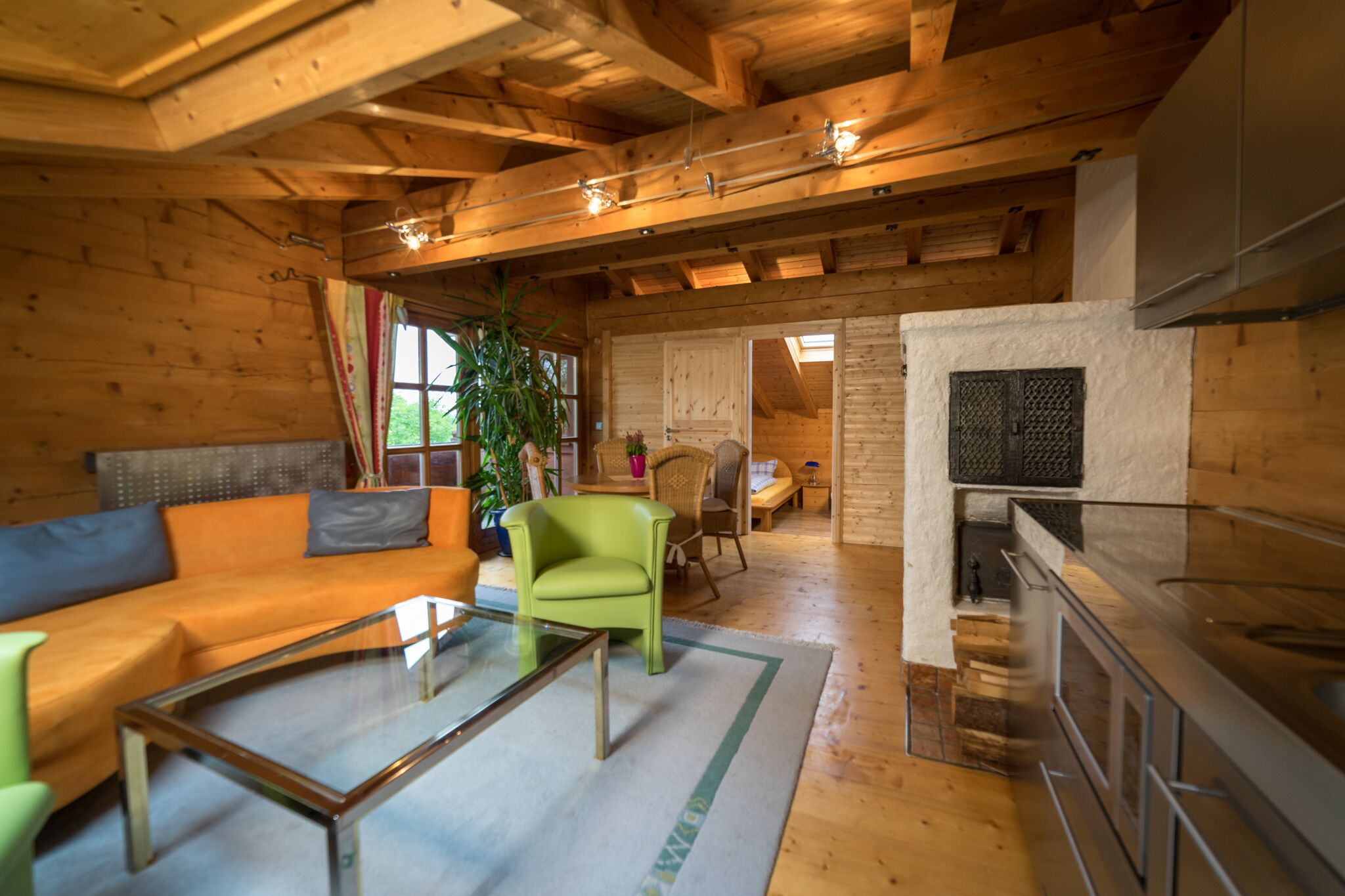 TV, fireplace, DVD player, books