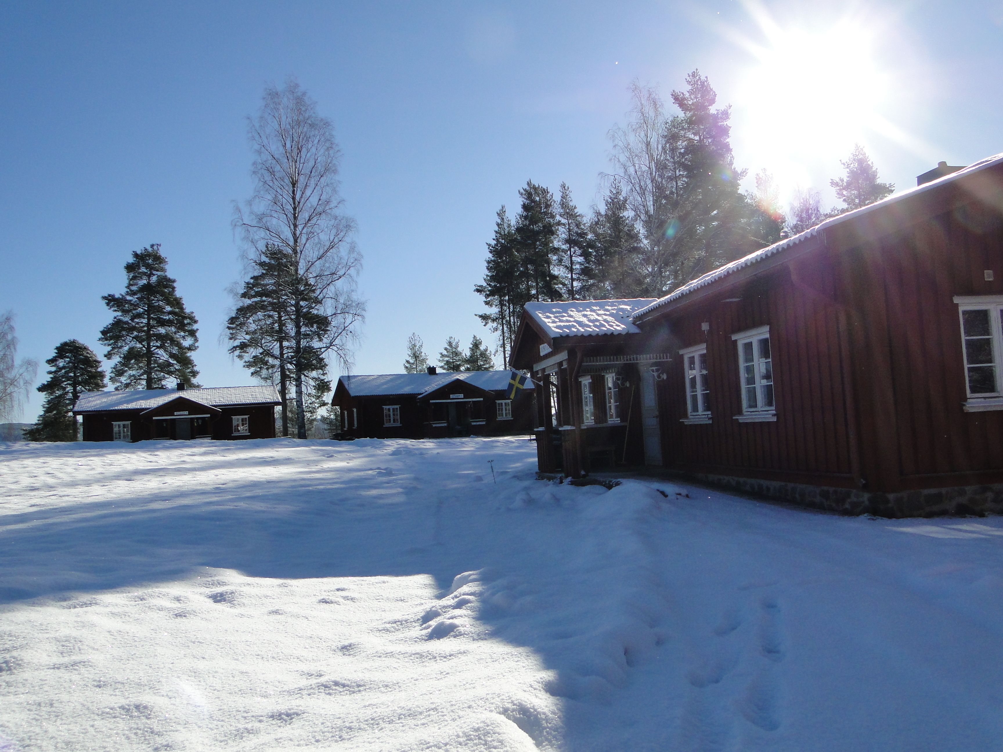 A wooden cabin with a snow-covered roof, surrounded by trees and a clear sky.
