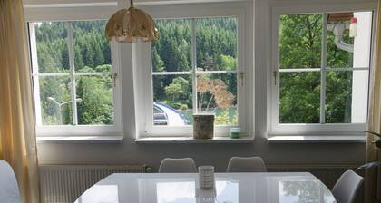 Ferienhaus Lütsche - direkt am Stausee im Thüringer Wald