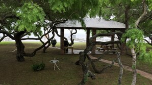 Un porxo amb taula de picnic i una barbacoa, envoltat d'arbres i gespa.