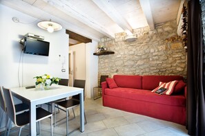 TV, fireplace, books - In the historic center just steps from the sea (Novigrad)