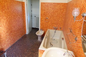 Combined shower/bathtub, hair dryer, bidet, towels