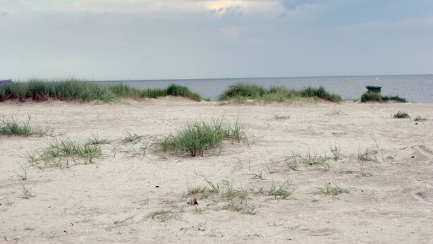 Una playa arenosa con hierba escasa y una pequeña estructura a lo lejos.