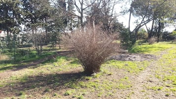 Área da propriedade
