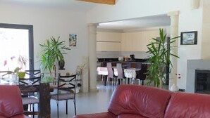 A spacious living area with a red leather sofa, a dining table, and chairs. There are potted plants and a fireplace.