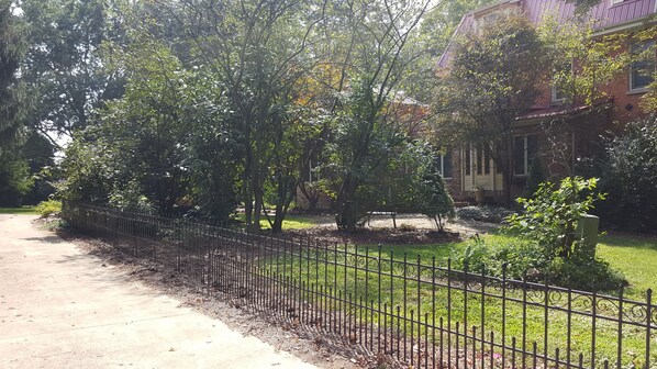 A residential area with a paved driveway, a metal fence, and a variety of trees and shrubs.