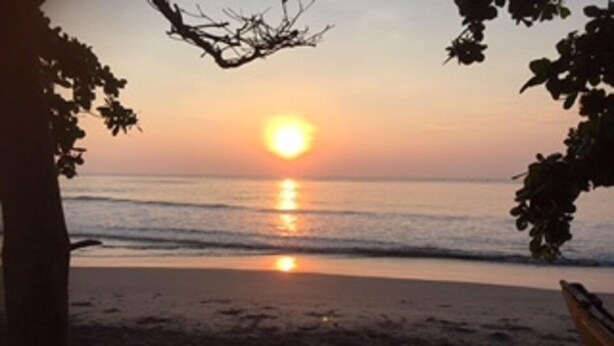 Une scène de plage avec un coucher de soleil, un banc et des arbres.