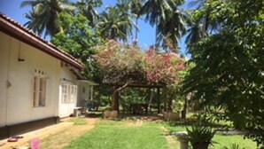 Une maison avec un toit en tuiles, un petit jardin avec une pelouse et un arbre aux fleurs roses.