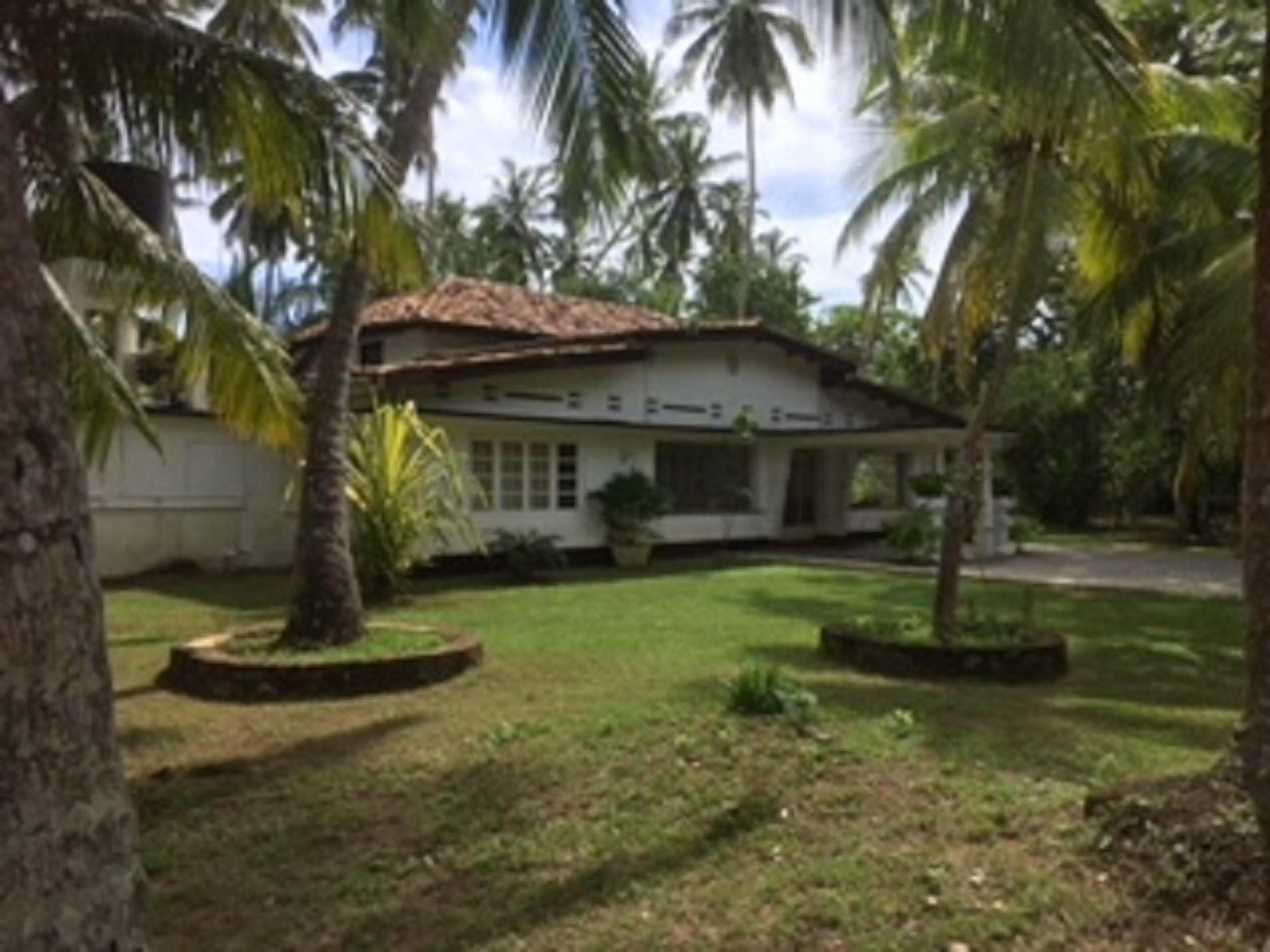 A house with a tiled roof, surrounded by a well-maintained lawn and palm trees.