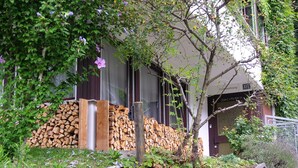 A residential building with a stacked woodpile, a tree, and a garden area with plants and a metal fence. - Family-friendly apartment on the Hofsteig (Schwarzach)