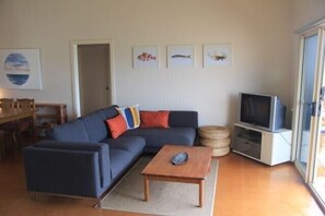 Fernseher, Kamin, DVD-Player